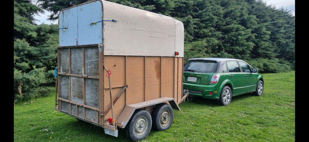 BYD e6 towing a horse float
